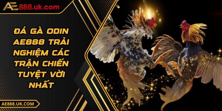 Đá Gà ODIN AE888 Trải Nghiệm Các Trận Chiến Tuyệt Vời Nhất