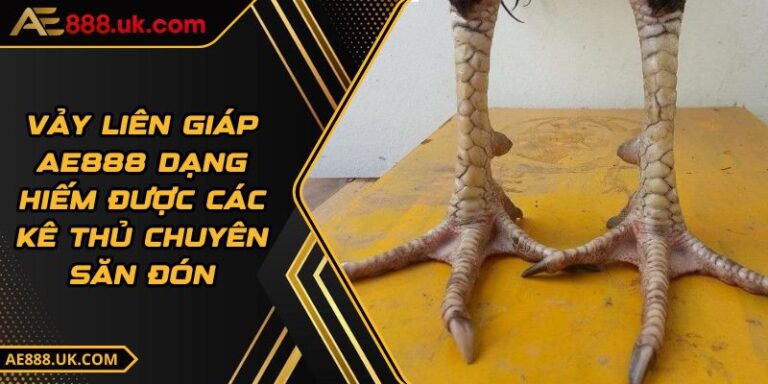 Vảy Liên Giáp AE888 Dạng Hiếm Được Các Kê Thủ Chuyên Săn Đón