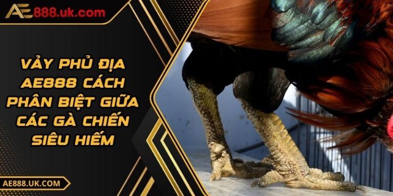 Vảy Phủ Địa AE888 Cách Phân Biệt Giữa Các Gà Chiến Siêu Hiếm