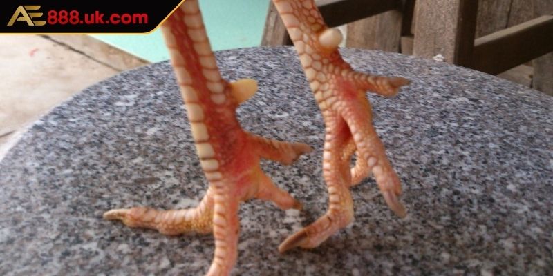 Vảy phủ địa Tam Tài cực hiếm gặp